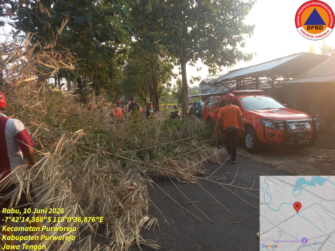 Penanganan Rumpun Bambu Mengganggu Akses Jalan di Jl. H. Agus Salim, Purworejo